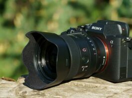 Sony DSLR Cameras