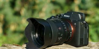 Sony DSLR Cameras