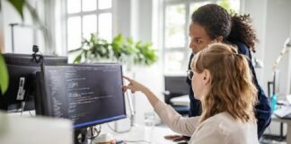 Software Development